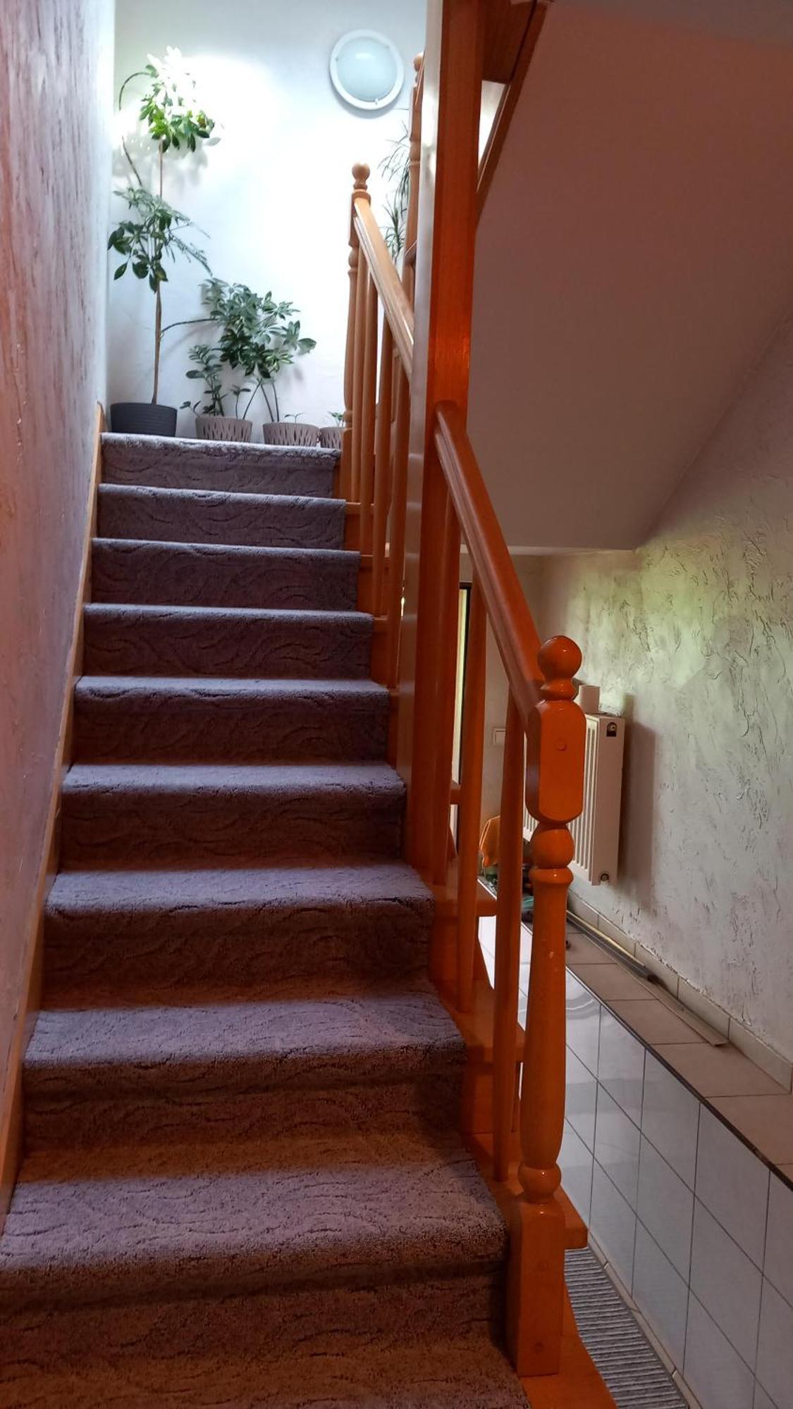Zielone Zacisze Διαμέρισμα Zagnansk Εξωτερικό φωτογραφία